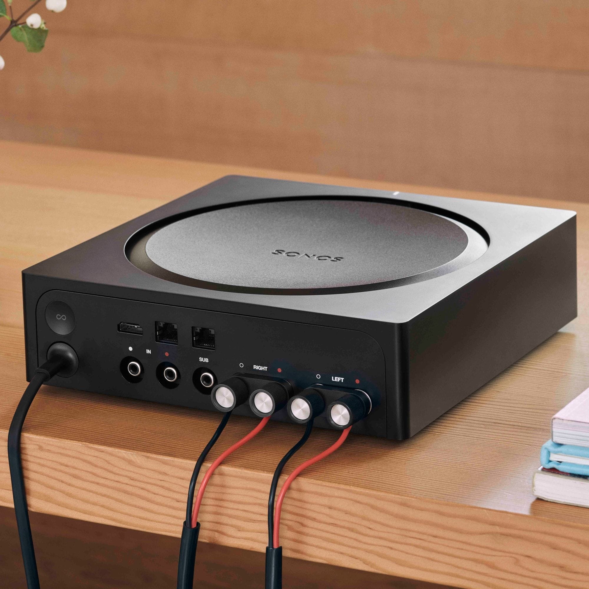 Stereo Network Receiver | Sonos Amp - Image 4